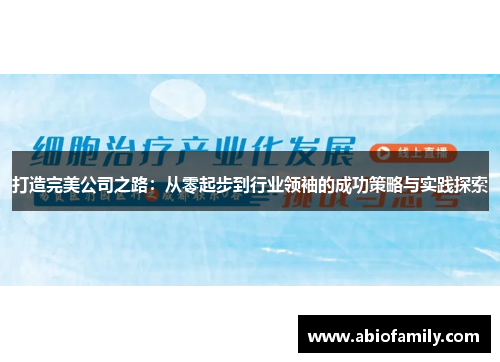 打造完美公司之路：从零起步到行业领袖的成功策略与实践探索