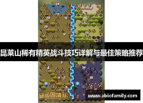 昆莱山稀有精英战斗技巧详解与最佳策略推荐